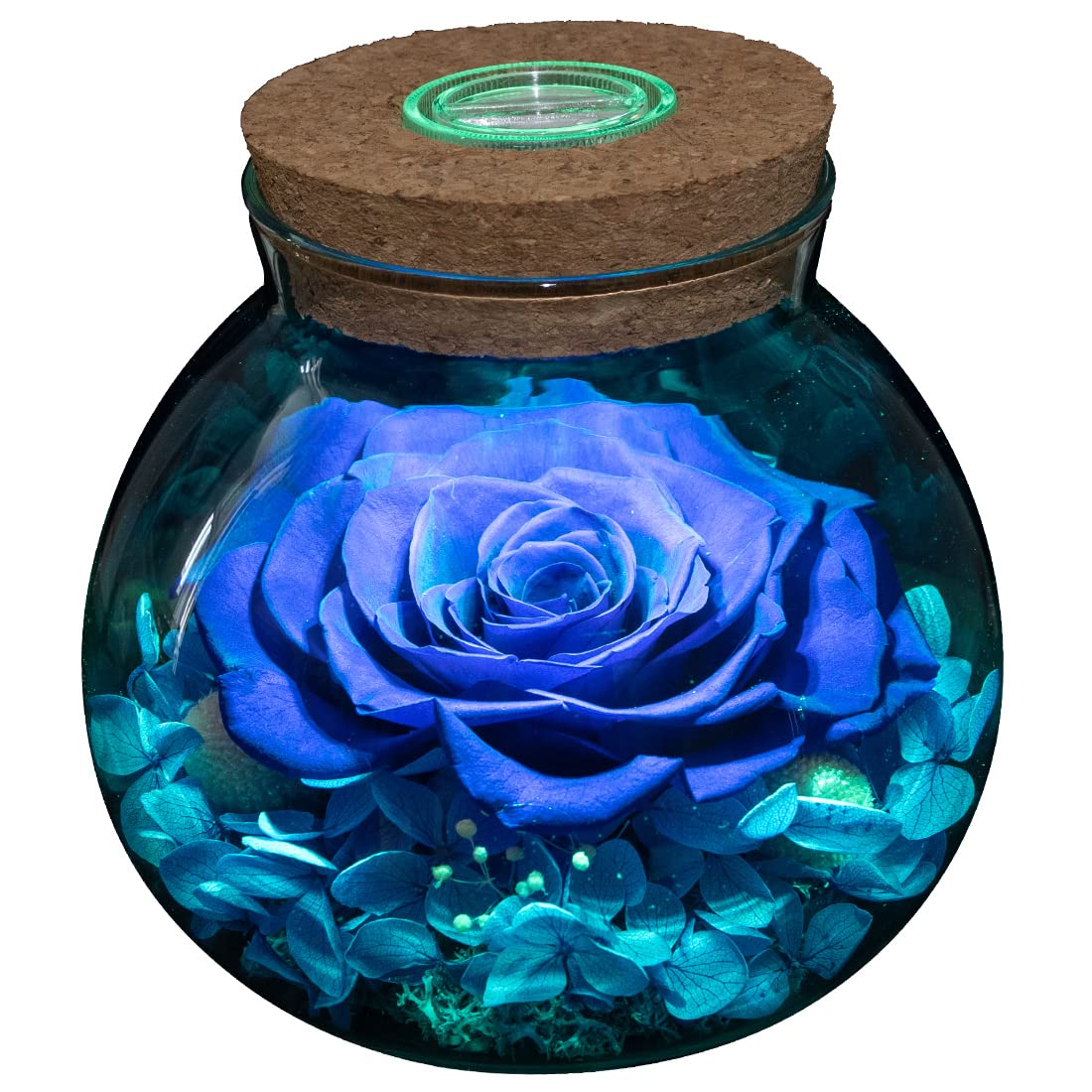 roliys Preserved Real Roses with Colorful Mood Light Wishing Bottle, Eternal Rose，Never Withered Flowers, Table Decor,Christmas Anniversary Valentine's, Blue 4.3inch, 1pcs - Martin Corner Bedding