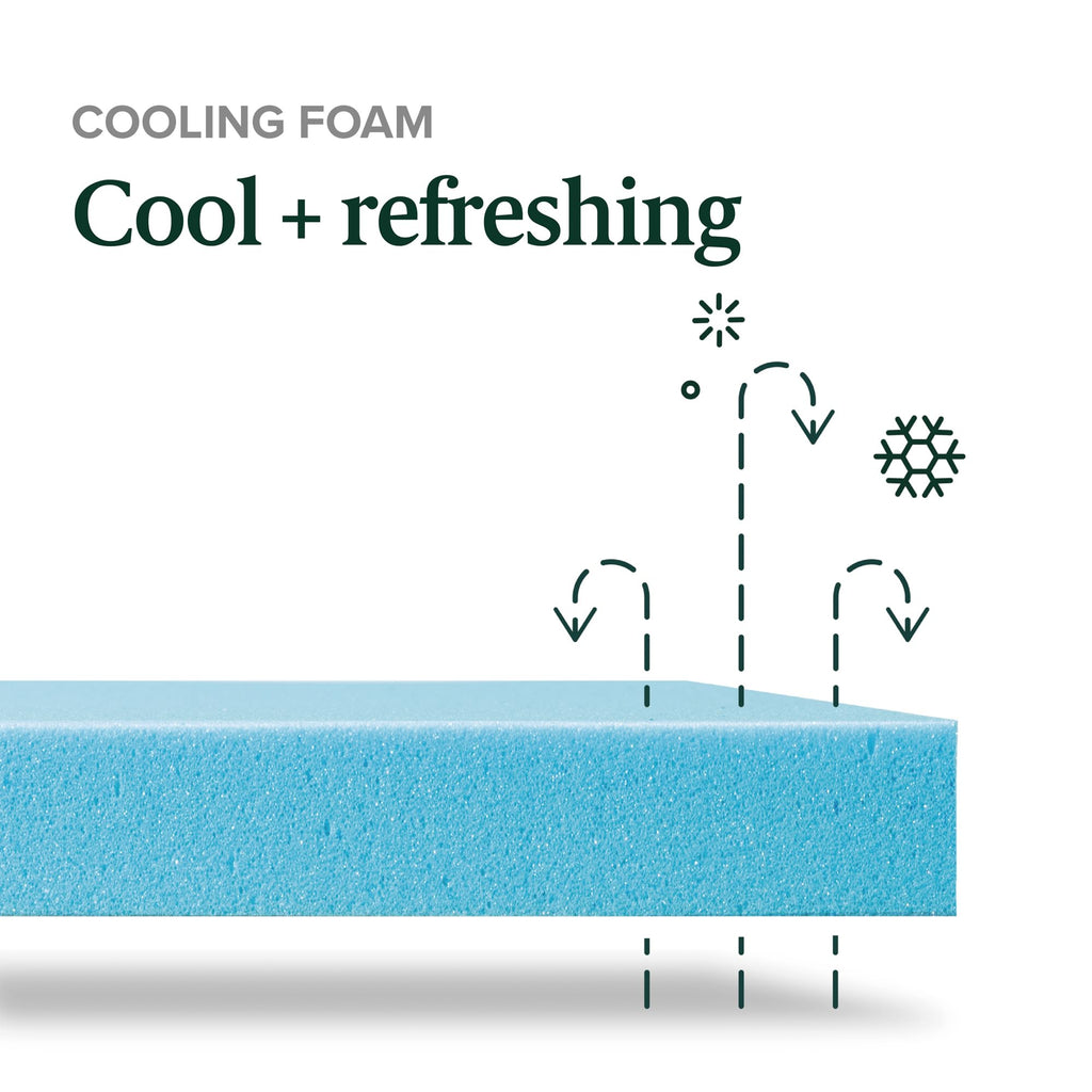 Zinus 10 Inch Green Tea Cooling Memory Foam Mattress [New Version], Queen, Fiberglass Free, Medium Firmness, Cooling Gel Foam, Certified Safe Foams & Fabric, Mattress in A Box - Martin Corner Bedding